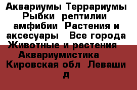 Аквариумы.Террариумы.Рыбки, рептилии, амфибии. Растения и аксесуары - Все города Животные и растения » Аквариумистика   . Кировская обл.,Леваши д.